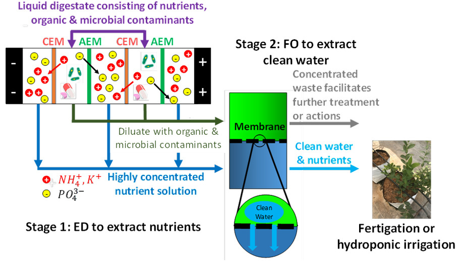 Reactor design diagram